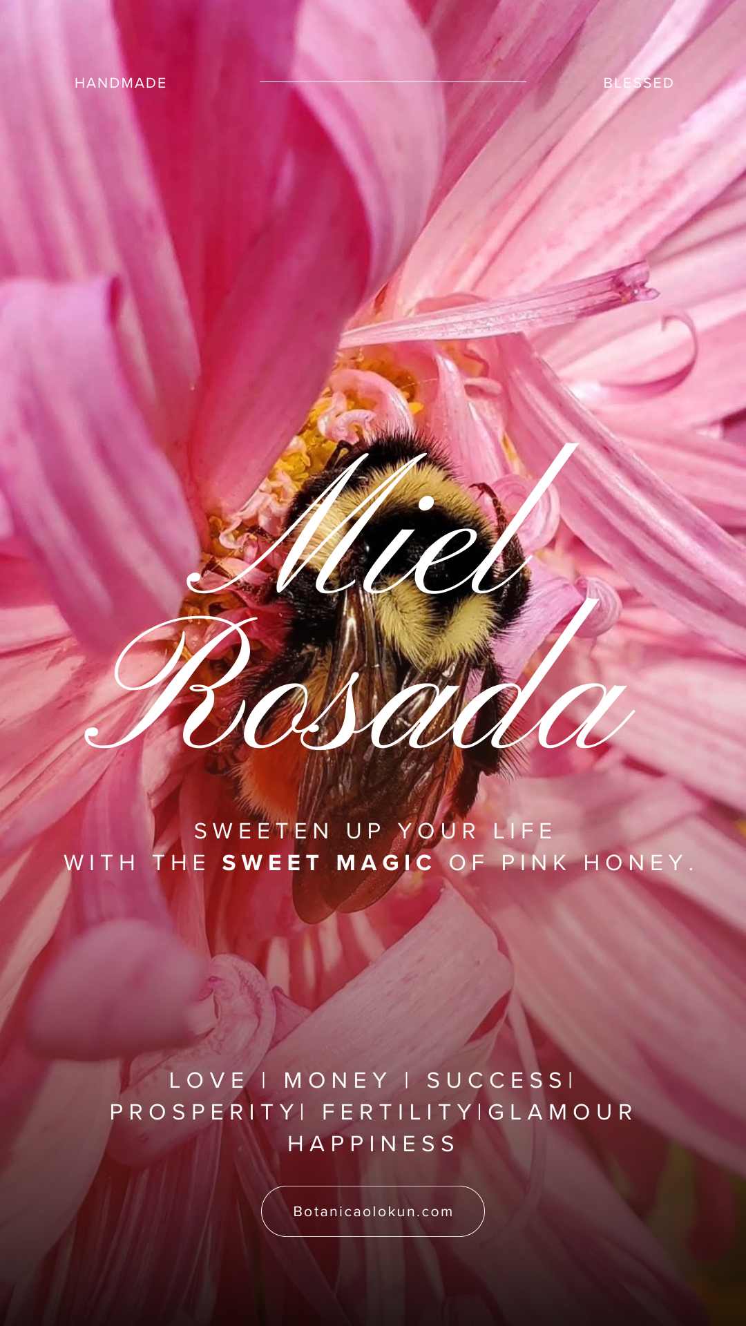 Miel Rosada| Pink Honey