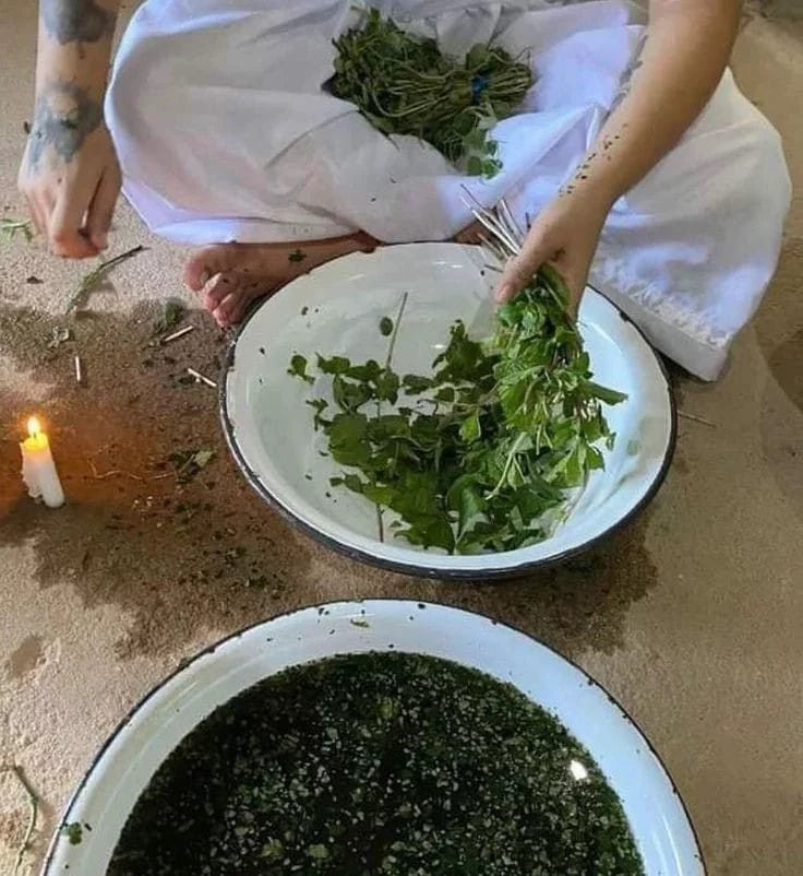 Limpia/Cleanse